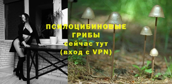 скорость Алзамай