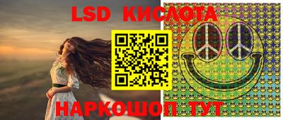 spice Кингисепп