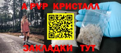 spice Кингисепп